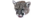 Male Cougars Icon.png