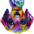 Stoupedog Icon 180.png