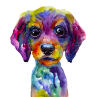 Stoupedog.png