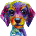 Stoupedog Icon.png