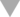TriangleIcon.png