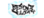 Team B3Vicon.png