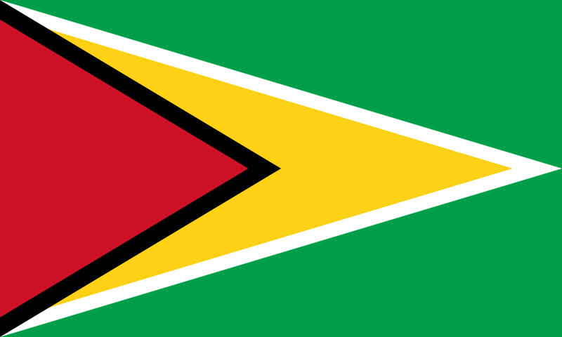File:Flag of Guyana.svg