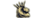 Crowns eSports Club Icon.png