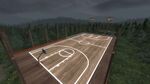 BBall Alpine.jpg