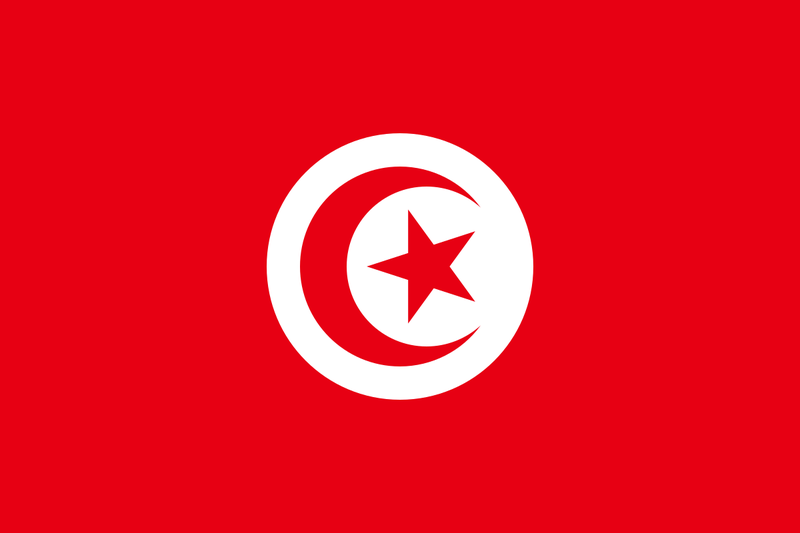 File:Flag of Tunisia.svg