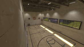 Ctf pro bball.png