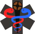 Doctors of Mediocrity Logo.png