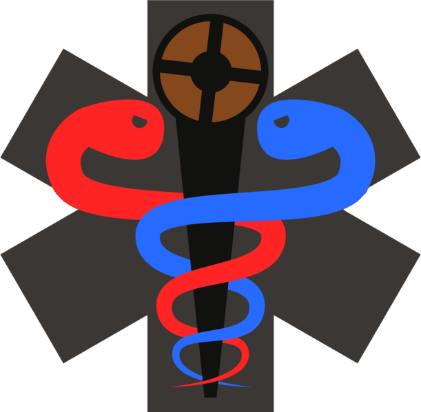 File:Doctors of Mediocrity Logo.png