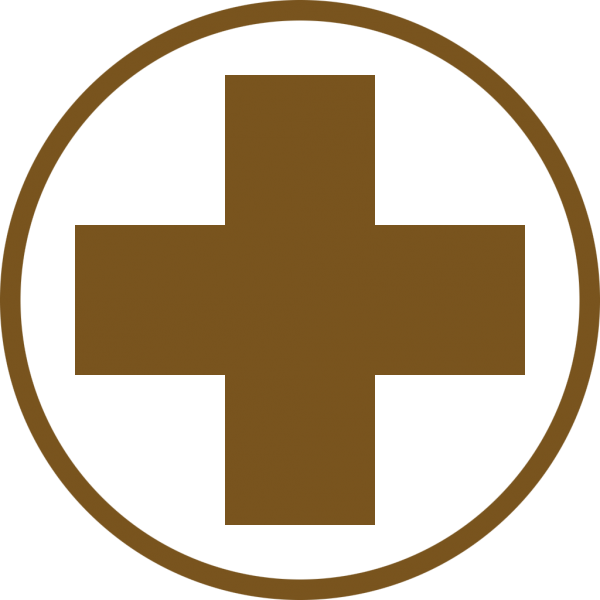 File:MedicIcon.png